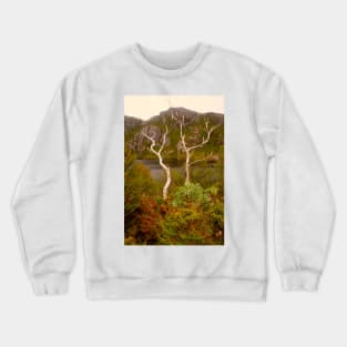 Skeletal trees on Crater Lake Crewneck Sweatshirt